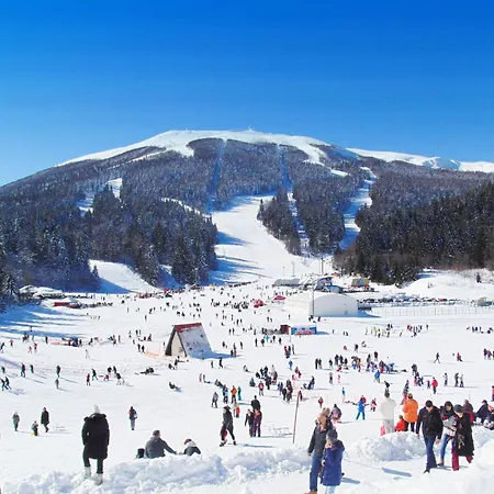 Aveline アパート